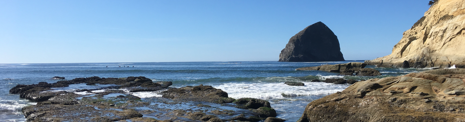 Rocky coastal landscape